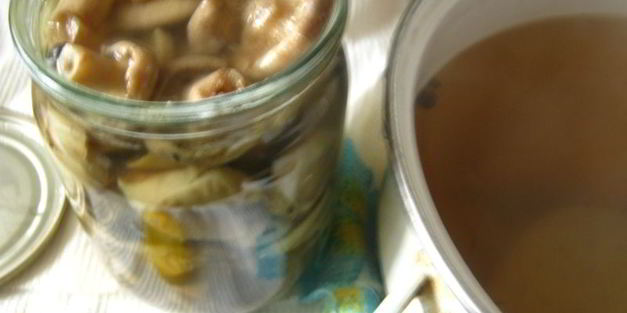 маринованные волнушки