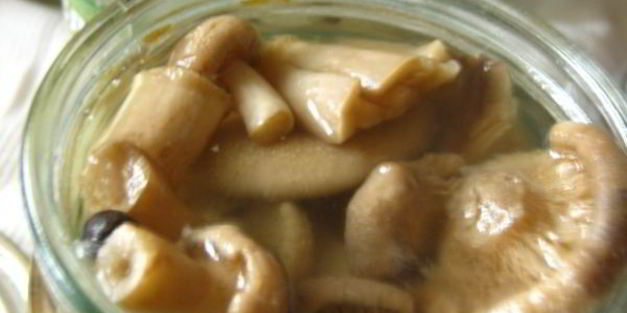 маринованные волнушки