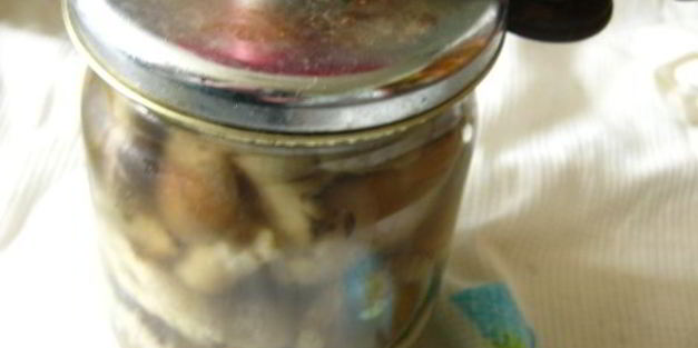 маринованные волнушки