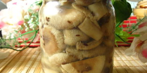 маринованные волнушки