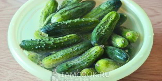огурцы маринованные по-болгарски