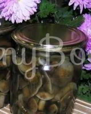 Опята маринованные