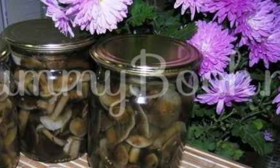 Рецепт опята маринованные