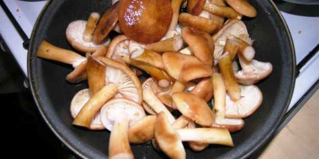 опята маринованные