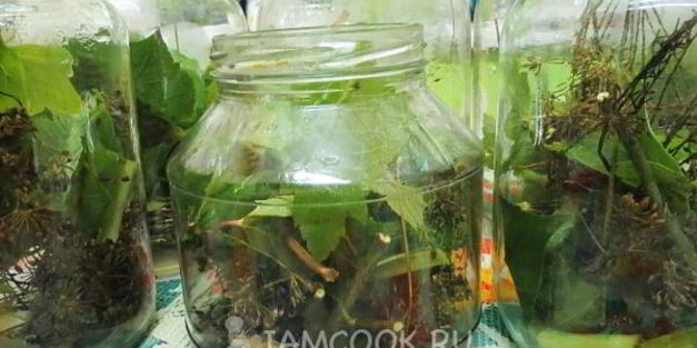 огурцы бочковые на зиму в банках