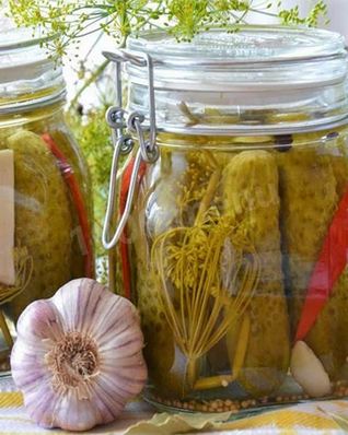 Огурцы на зиму пальчики оближешь без стерилизации