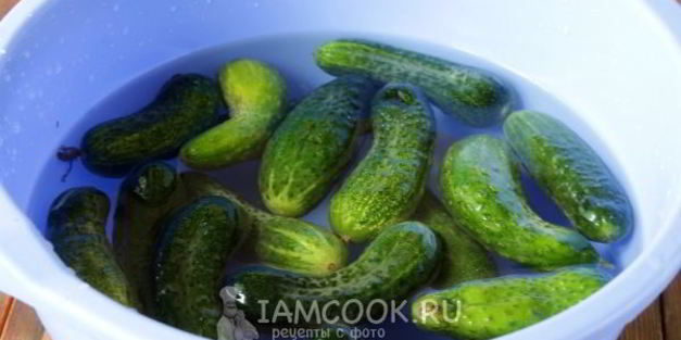 огурцы с лимонной кислотой на зиму