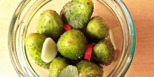 огурцы с семенами горчицы на зиму