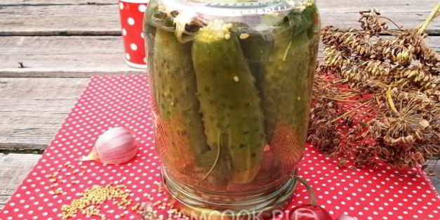 огурцы с семенами горчицы на зиму