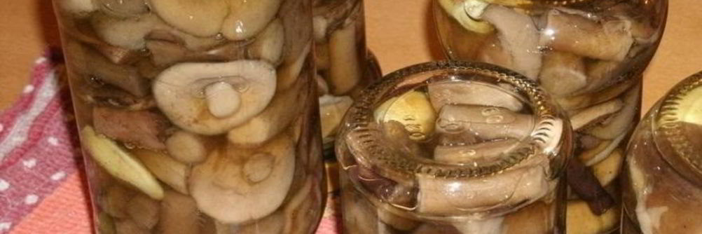 Подберезовики на зиму