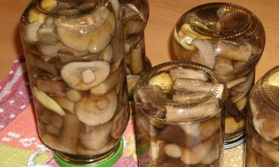 Рецепт подберезовики на зиму