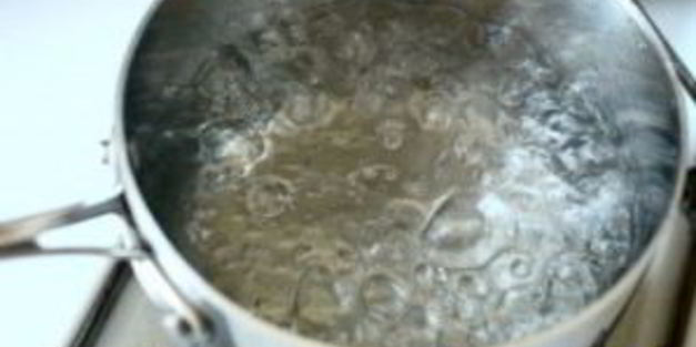 подберезовики на зиму