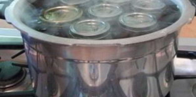 подберезовики на зиму