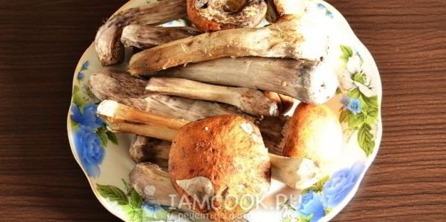 подосиновики, замороженные на зиму