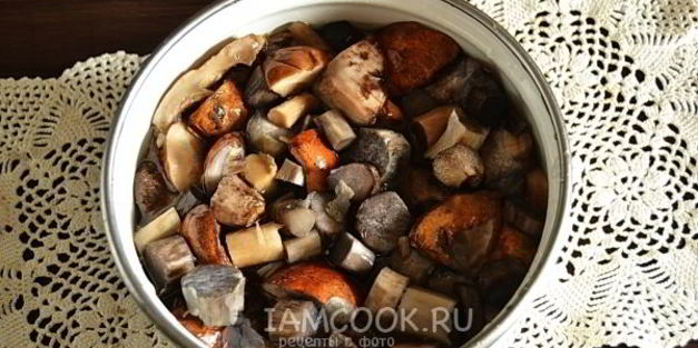 подосиновики, замороженные на зиму