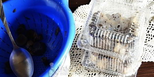 подосиновики, замороженные на зиму