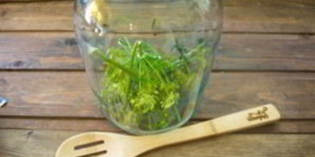 помидоры в банках на зиму