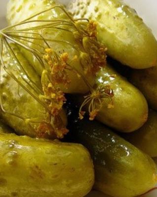 Популярный холодный способ засолки огурцов на зиму