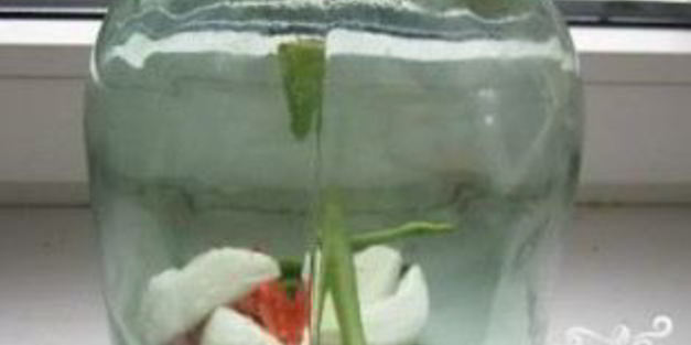 сладкие помидоры на зиму