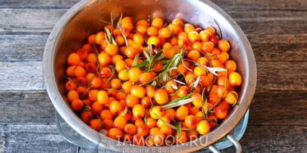 сок из облепихи на зиму через соковыжималку