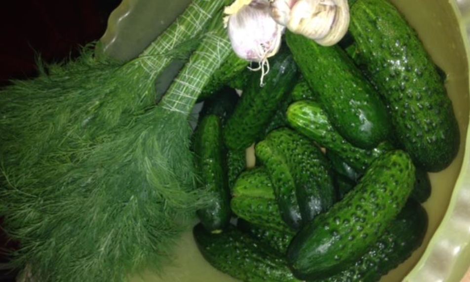 Рецепт быстрые малосольные огурцы