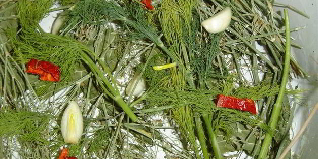 малосольные огурчики