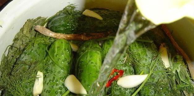 малосольные огурчики