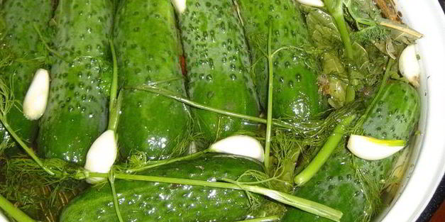 малосольные огурчики