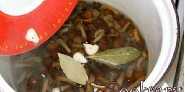 соленые опята на зиму