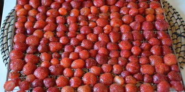 сушеные клубника, земляника, вишня и малина