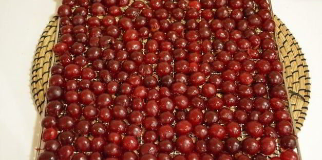 сушеные клубника, земляника, вишня и малина