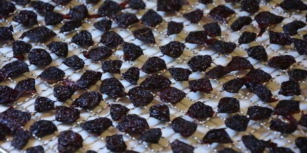 сушеные клубника, земляника, вишня и малина