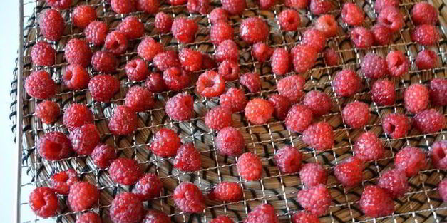 сушеные клубника, земляника, вишня и малина