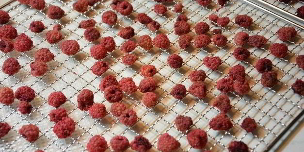 сушеные клубника, земляника, вишня и малина