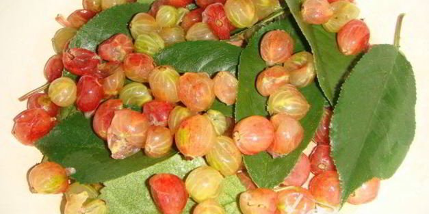 крыжовенное варенье царское