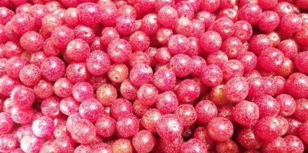 варенье из гуми