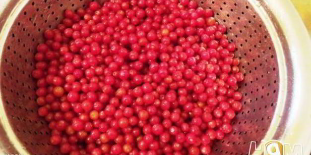 варенье из гуми