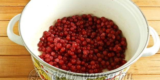 варенье из красной смородины на зиму