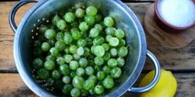 варенье из крыжовника с лимоном на зиму