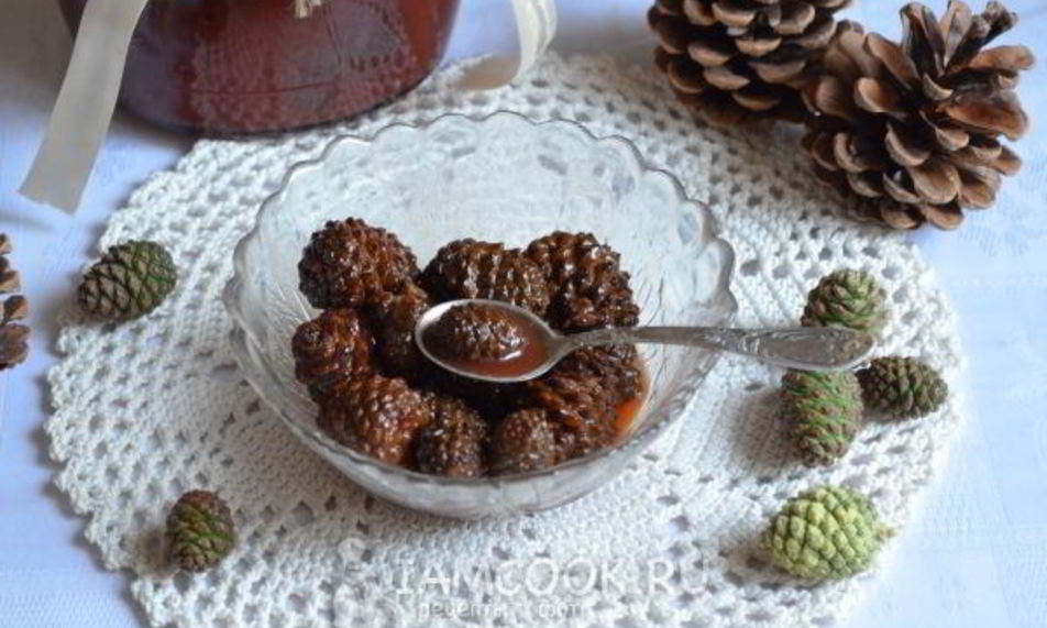 Рецепт варенье из молодых сосновых шишек