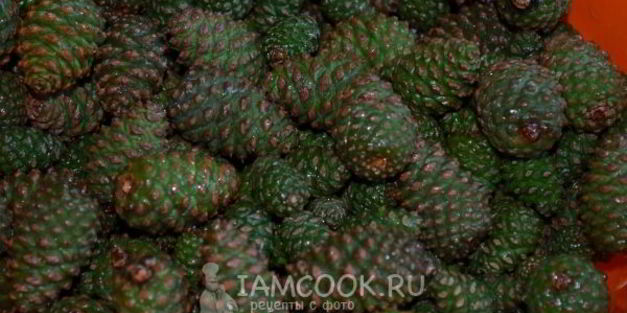 варенье из молодых сосновых шишек