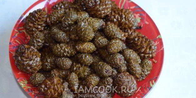 варенье из молодых сосновых шишек