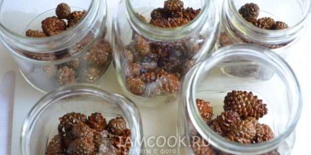 варенье из молодых сосновых шишек