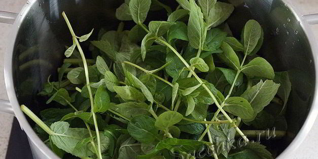 варенье из мяты