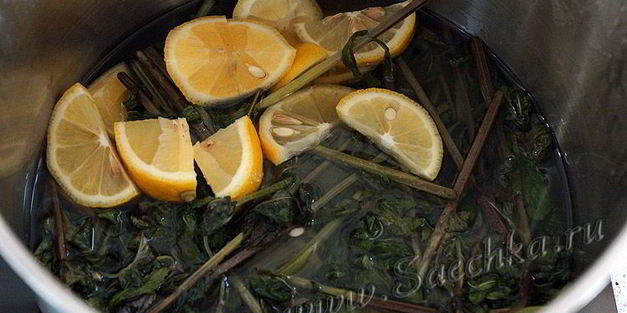 варенье из мяты