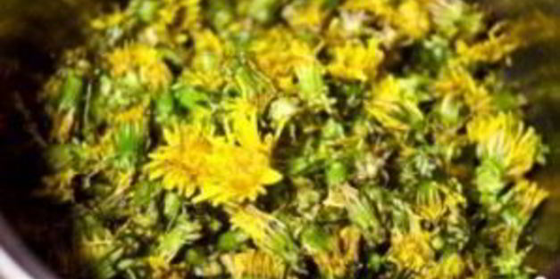 варенье из одуванчиков на зиму