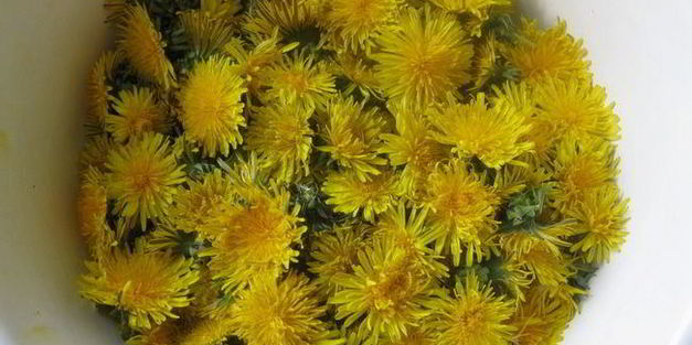 варенье из одуванчиков