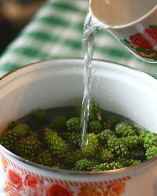 Варенье из сосновых почек