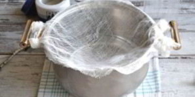 заготовка березового сока