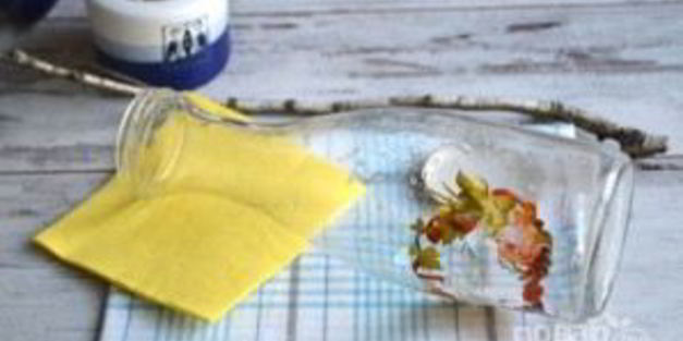 заготовка березового сока